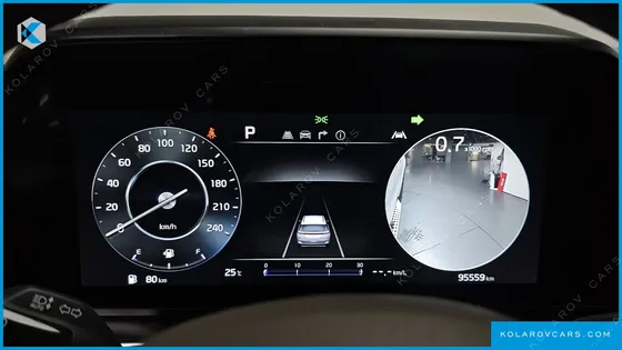 KIA CARNIVAL GASOLINE 9-SEATER HI-LIMOUSINE