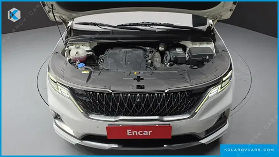 KIA CARNIVAL GASOLINE 9-SEATER LIMOUSINE(SPECIAL VEHICLE)