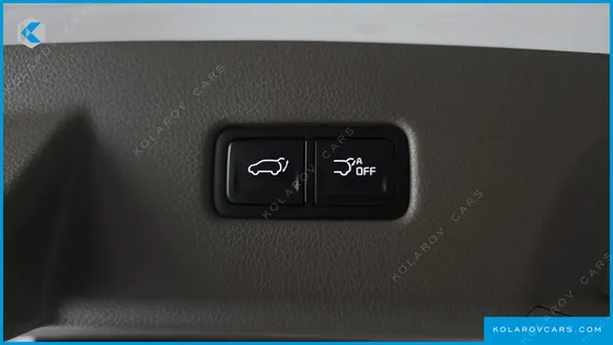 KIA CARNIVAL GASOLINE 9-SEATER LIMOUSINE(SPECIAL VEHICLE)