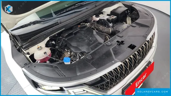 KIA CARNIVAL GASOLINE 7-SEATER HI-LIMOUSINE