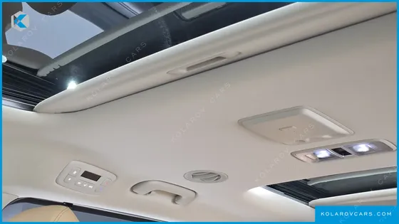 KIA CARNIVAL GASOLINE 9-SEATER SIGNATURE