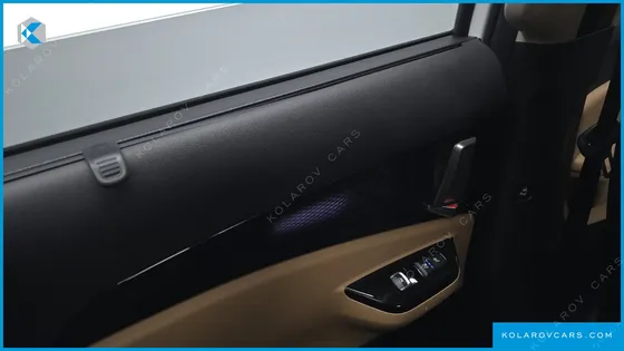 KIA CARNIVAL GASOLINE 9-SEATER SIGNATURE