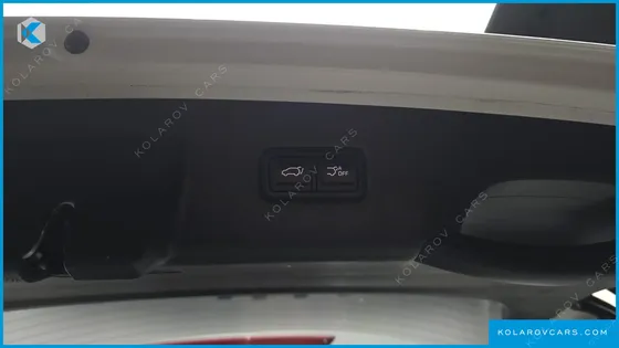 KIA CARNIVAL GASOLINE 9-SEATER SIGNATURE