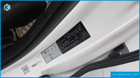 KIA CARNIVAL GASOLINE 9-SEATER SIGNATURE