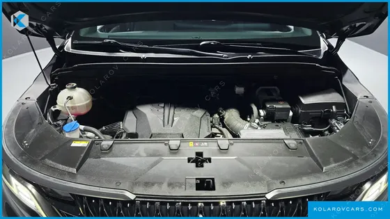 KIA CARNIVAL GASOLINE 9-SEATER HI-LIMOUSINE