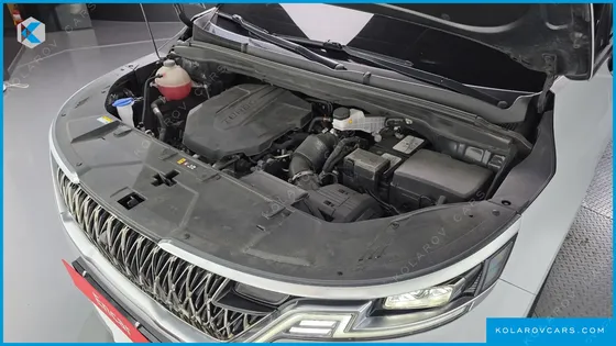 KIA CARNIVAL DIESEL 9-SEATER HI-LIMOUSINE
