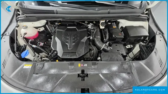 KIA CARNIVAL GASOLINE 7-SEATER NOBLESSE