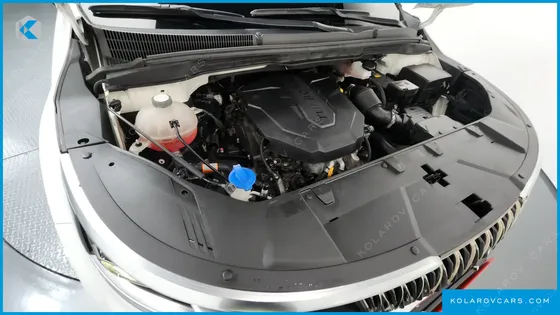 KIA CARNIVAL DIESEL 9-SEATER SIGNATURE
