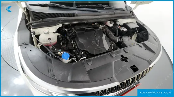 KIA CARNIVAL GASOLINE 7-SEATER HI-LIMOUSINE