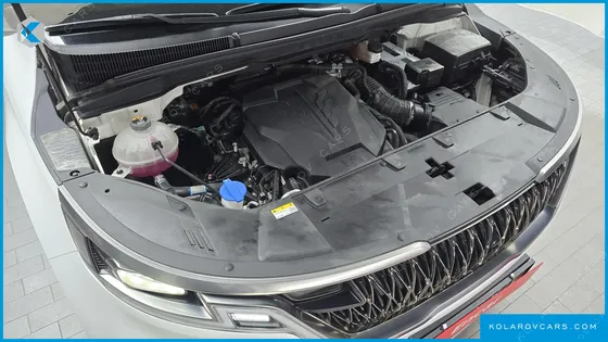 KIA CARNIVAL GASOLINE 9-SEATER NOBLESSE