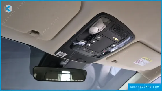 KIA CARNIVAL GASOLINE 4-SEATER HI-LIMOUSINE