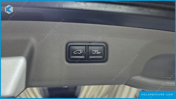 KIA CARNIVAL GASOLINE 4-SEATER HI-LIMOUSINE