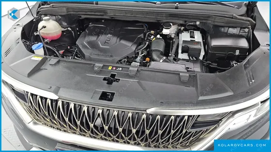 KIA CARNIVAL DIESEL 9-SEATER HI-LIMOUSINE