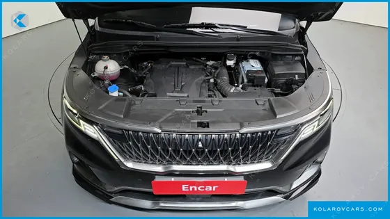 KIA CARNIVAL GASOLINE 7-SEATER LIMOUSINE(SPECIAL VEHICLE)