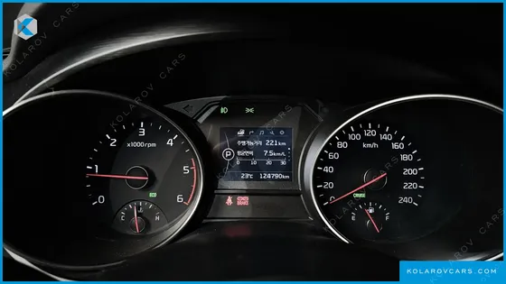 KIA CARNIVAL 9-SEATER LUXURY