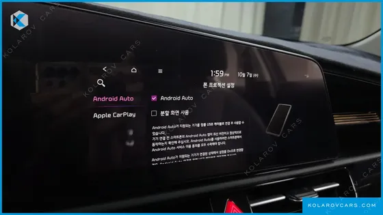 KIA NIRO EARTH
