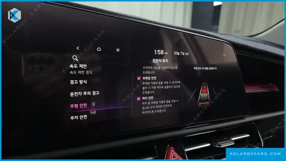 KIA NIRO EARTH
