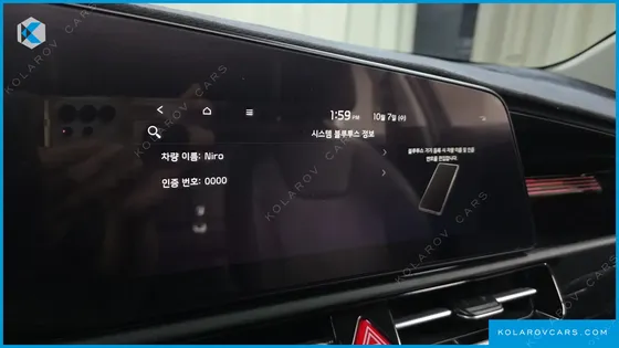 KIA NIRO EARTH