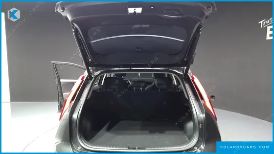 KIA NIRO EARTH