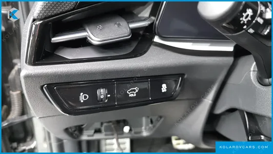 KIA NIRO EARTH