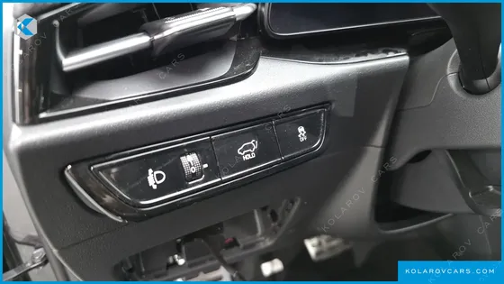 KIA NIRO EARTH