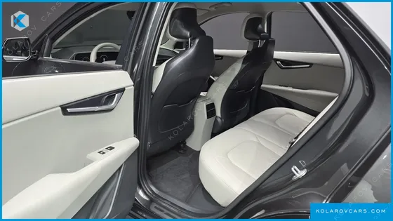 KIA NIRO EARTH