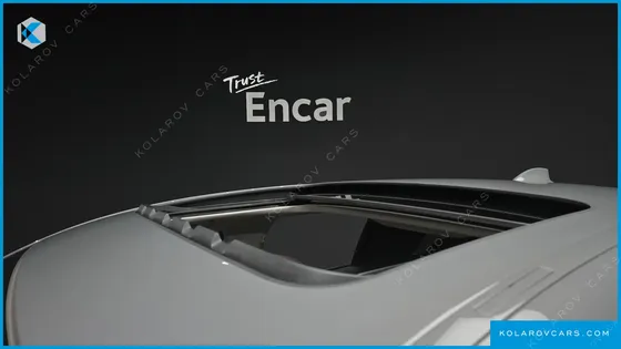 BMW 5 SERIES 530E LUXURY