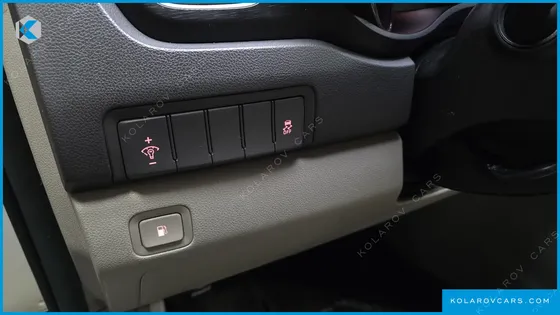 KIA CARNIVAL 9-SEATER LUXURY