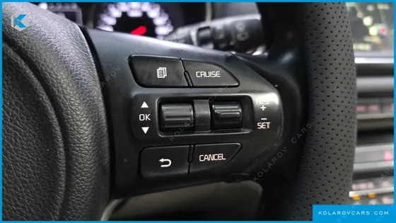 KIA CARNIVAL 9-SEATER LUXURY