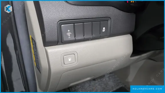 KIA CARNIVAL 9-SEATER LUXURY