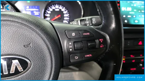 KIA CARNIVAL 9-SEATER LUXURY