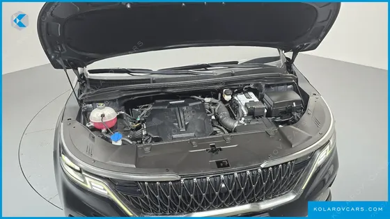 KIA CARNIVAL GASOLINE 9-SEATER HI-LIMOUSINE
