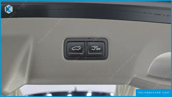 KIA CARNIVAL GASOLINE 9-SEATER HI-LIMOUSINE