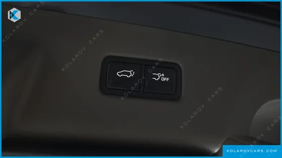 KIA CARNIVAL GASOLINE 9-SEATER SIGNATURE