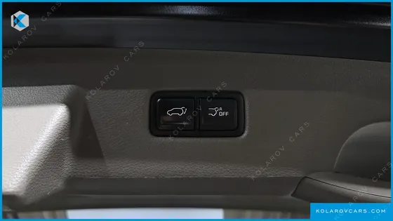 KIA CARNIVAL GASOLINE 9-SEATER HI-LIMOUSINE