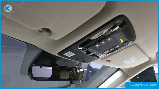 KIA CARNIVAL GASOLINE 9-SEATER HI-LIMOUSINE