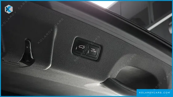 KIA CARNIVAL DIESEL 9-SEATER SIGNATURE