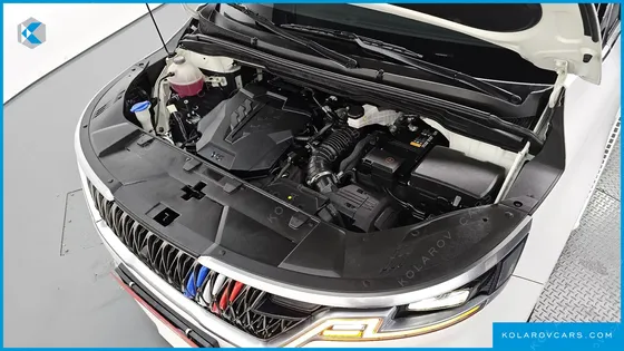 KIA CARNIVAL GASOLINE 7-SEATER HI-LIMOUSINE