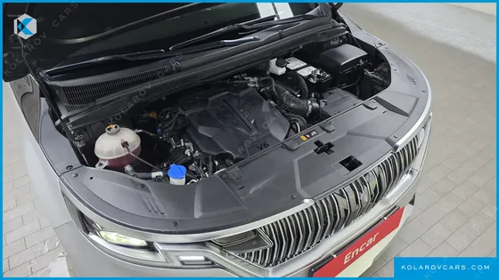 KIA CARNIVAL GASOLINE 9-SEATER LIMOUSINE(SPECIAL VEHICLE)