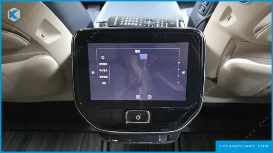 KIA CARNIVAL GASOLINE 9-SEATER LIMOUSINE(SPECIAL VEHICLE)