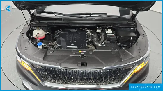 KIA CARNIVAL GASOLINE 9-SEATER NOBLESSE