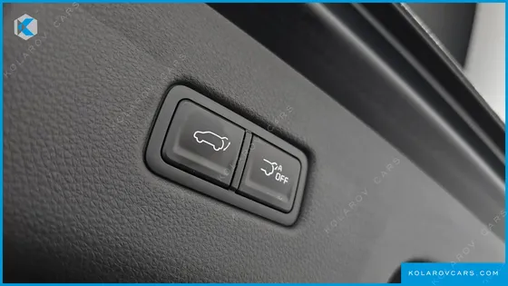 KIA CARNIVAL GASOLINE 9-SEATER NOBLESSE