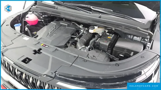 KIA CARNIVAL GASOLINE 7-SEATER SIGNATURE