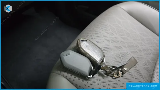 KIA CARNIVAL HEV 9SEATER NOBLESS