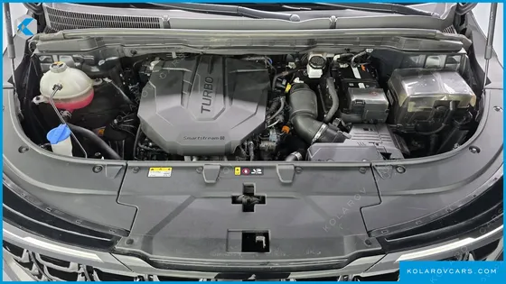 KIA CARNIVAL DIESEL 9-SEATER HI LIMOUSINE (SPECIAL VEHICLE)