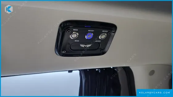 KIA CARNIVAL DIESEL 9-SEATER HI LIMOUSINE (SPECIAL VEHICLE)