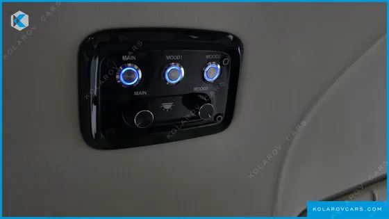 KIA CARNIVAL DIESEL 9-SEATER HI LIMOUSINE (SPECIAL VEHICLE)