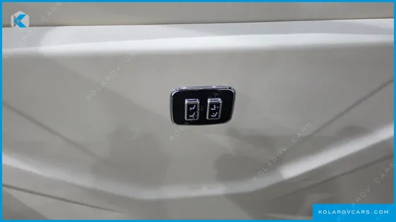 KIA CARNIVAL DIESEL 9-SEATER HI LIMOUSINE (SPECIAL VEHICLE)