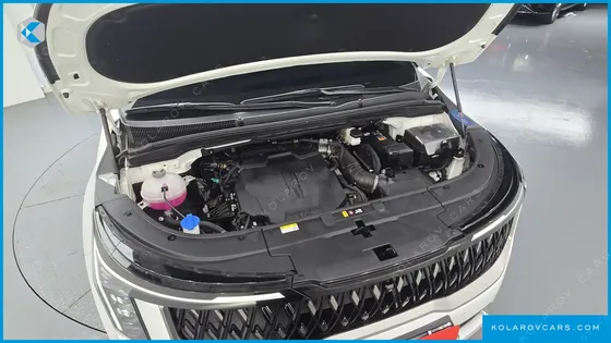 KIA CARNIVAL GASOLINE 9-SEATER PRESTIGE