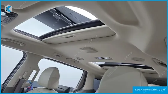 KIA CARNIVAL GASOLINE 7-SEATER GRAVITY